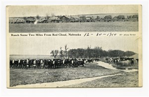 Image description is not available for PHO-264-705